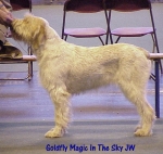 Filename=G Magic.jpg
Filesize=60KiB
Dimensions=490x464
Date added=Sep 13, 2009 G Magic.jpg