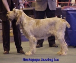 Filename=H JazzbagIce.jpg
Filesize=47KiB
Dimensions=456x378
Date added=Sep 13, 2009 H JazzbagIce.jpg