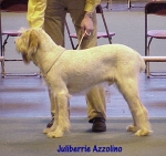 Filename=J Azzolino.jpg
Filesize=49KiB
Dimensions=448x424
Date added=Sep 13, 2009 J Azzolino.jpg