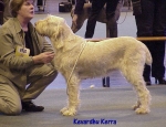 Filename=K Kerra.jpg
Filesize=66KiB
Dimensions=574x442
Date added=Sep 13, 2009 K Kerra.jpg