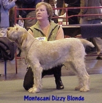 Filename=M DizzyBlonde.jpg
Filesize=44KiB
Dimensions=378x382
Date added=Sep 13, 2009 M DizzyBlonde.jpg