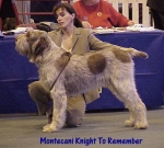Filename=M KnightToRemember.jpg
Filesize=59KiB
Dimensions=478x432
Date added=Sep 13, 2009 M KnightToRemember.jpg
