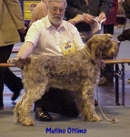 Dateiname=M Ottimo.jpg
Dateigröße=59KB
Abmessungen: 428x446
hinzugefügt am: 13. September 2009 M Ottimo.jpg