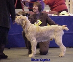 Filename=R Caprice.jpg
Filesize=63KiB
Dimensions=534x458
Date added=Sep 13, 2009 R Caprice.jpg