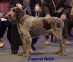 Filename=S Vivaldi.jpg
Filesize=46KiB
Dimensions=432x368
Date added=Sep 13, 2009 S Vivaldi.jpg