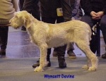 Filename=W Devine.jpg
Filesize=54KiB
Dimensions=520x402
Date added=Sep 13, 2009 W Devine.jpg