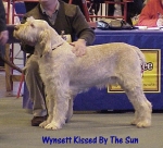 Dateiname=W KissedByTheSun.jpg
Dateigröße=54KB
Abmessungen: 442x402
hinzugefügt am: 13. September 2009 W KissedByTheSun.jpg