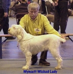 Dateiname=W WickedLady.jpg
Dateigröße=55KB
Abmessungen: 444x446
hinzugefügt am: 13. September 2009 W WickedLady.jpg