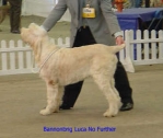 Filename=B LucaNoFurther.jpg
Filesize=12KiB
Dimensions=336x284
Date added=Sep 13, 2009 B LucaNoFurther.jpg