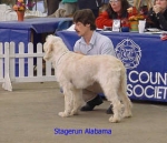 Filename=S Alabama.jpg
Filesize=14KiB
Dimensions=282x244
Date added=Sep 13, 2009 S Alabama.jpg