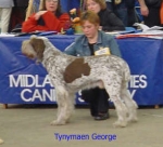Filename=T George.jpg
Filesize=14KiB
Dimensions=294x268
Date added=Sep 13, 2009 T George.jpg