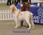 Filename=W CrackerJack.jpg
Filesize=12KiB
Dimensions=282x228
Date added=Sep 13, 2009 W CrackerJack.jpg