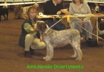 Filename=A Divertimento.JPG
Filesize=107KiB
Dimensions=374x260
Date added=Sep 13, 2009 A Divertimento.JPG