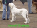 Filename=A Elisabetta.JPG
Filesize=50KiB
Dimensions=254x196
Date added=Sep 13, 2009 A Elisabetta.JPG