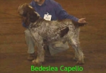 Filename=B Capello.JPG
Filesize=49KiB
Dimensions=279x193
Date added=Sep 13, 2009 B Capello.JPG