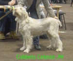 Filename=C Celeste.JPG
Filesize=58KiB
Dimensions=245x206
Date added=Sep 13, 2009 C Celeste.JPG