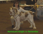 Filename=M KnightToRemember.JPG
Filesize=86KiB
Dimensions=352x277
Date added=Sep 13, 2009 M KnightToRemember.JPG
