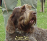 Filename=A PenneHead.jpg
Filesize=28KiB
Dimensions=365x325
Date added=Sep 13, 2009 A PenneHead.jpg