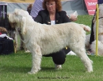 Filename=B Luca.jpg
Filesize=69KiB
Dimensions=578x456
Date added=Sep 13, 2009 B Luca.jpg