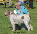 Filename=C Remus.jpg
Filesize=28KiB
Dimensions=307x286
Date added=Sep 13, 2009 C Remus.jpg