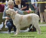Filename=H CalamityJane.jpg
Filesize=50KiB
Dimensions=446x371
Date added=Sep 13, 2009 H CalamityJane.jpg