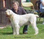 Filename=S Joey.jpg
Filesize=42KiB
Dimensions=420x369
Date added=Sep 13, 2009 S Joey.jpg