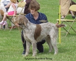 Filename=T Bramble.jpg
Filesize=64KiB
Dimensions=495x400
Date added=Sep 13, 2009 T Bramble.jpg