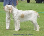 Filename=A Margot.jpg
Filesize=45KiB
Dimensions=452x372
Date added=Sep 13, 2009 A Margot.jpg