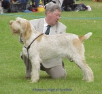 Filename=A Nigel.jpg
Filesize=65KiB
Dimensions=502x464
Date added=Sep 13, 2009 A Nigel.jpg