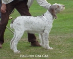 Filename=H ChaCha.jpg
Filesize=31KiB
Dimensions=382x314
Date added=Sep 13, 2009 H ChaCha.jpg