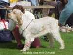 Filename=H Hera.jpg
Filesize=52KiB
Dimensions=512x392
Date added=Sep 13, 2009 H Hera.jpg