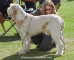 Filename=M MilleniumGold.jpg
Filesize=64KiB
Dimensions=525x426
Date added=Sep 13, 2009 M MilleniumGold.jpg