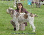 Filename=M Knight.jpg
Filesize=27KiB
Dimensions=498x402
Date added=Sep 13, 2009 M Knight.jpg