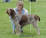 Dateiname=S SpiritOfTaz.jpg
Dateigröße=30KB
Abmessungen: 496x417
hinzugefügt am: 13. September 2009 S SpiritOfTaz.jpg