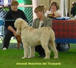 Filename=A Moschino.jpg
Filesize=16KiB
Dimensions=312x284
Date added=Sep 13, 2009 A Moschino.jpg