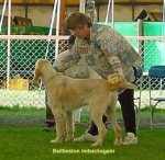 Filename=B Imbackagain.jpg
Filesize=26KiB
Dimensions=364x356
Date added=Sep 13, 2009 B Imbackagain.jpg
