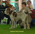 Filename=C HarryHoudini.jpg
Filesize=18KiB
Dimensions=352x342
Date added=Sep 13, 2009 C HarryHoudini.jpg