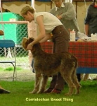 Filename=C SweetThing.jpg
Filesize=15KiB
Dimensions=302x328
Date added=Sep 13, 2009 C SweetThing.jpg
