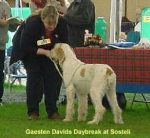 Filename=G DavidsDaybreak.jpg
Filesize=14KiB
Dimensions=292x269
Date added=Sep 13, 2009 G DavidsDaybreak.jpg