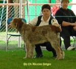 Filename=R Grigio.jpg
Filesize=16KiB
Dimensions=318x288
Date added=Sep 13, 2009 R Grigio.jpg