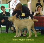 Filename=R RhythmAndBlues.jpg
Filesize=16KiB
Dimensions=306x302
Date added=Sep 13, 2009 R RhythmAndBlues.jpg