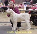 Filename=G Frolic.jpg
Filesize=41KiB
Dimensions=376x354
Date added=Sep 13, 2009 G Frolic.jpg