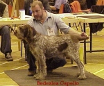 Filename=B Capello.jpg
Filesize=39KiB
Dimensions=361x299
Date added=Sep 13, 2009 B Capello.jpg