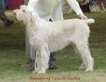 Filename=B Luca.jpg
Filesize=46KiB
Dimensions=478x376
Date added=Sep 13, 2009 B Luca.jpg