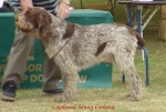 Filename=C Sonny.jpg
Filesize=50KiB
Dimensions=529x359
Date added=Sep 13, 2009 C Sonny.jpg