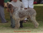 Filename=I MirrorImage.jpg
Filesize=44KiB
Dimensions=493x378
Date added=Sep 13, 2009 I MirrorImage.jpg