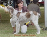 Filename=M Knight.jpg
Filesize=43KiB
Dimensions=529x417
Date added=Sep 13, 2009 M Knight.jpg