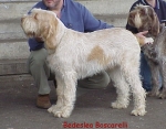 Filename=B Boscarelli.jpg
Filesize=40KiB
Dimensions=458x360
Date added=Sep 13, 2009 B Boscarelli.jpg