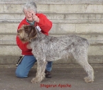 Filename=S Apache.jpg
Filesize=60KiB
Dimensions=526x460
Date added=Sep 13, 2009 S Apache.jpg
