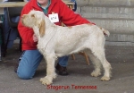 Filename=S Tennessee.jpg
Filesize=40KiB
Dimensions=504x350
Date added=Sep 13, 2009 S Tennessee.jpg